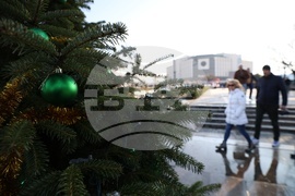 Коледна украса - ежедневие