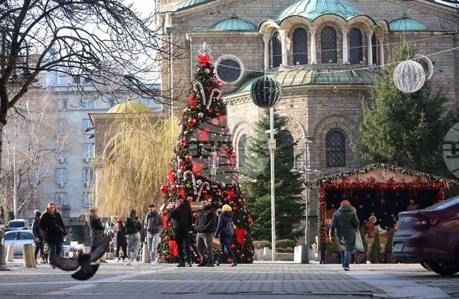Коледна украса - ежедневие 