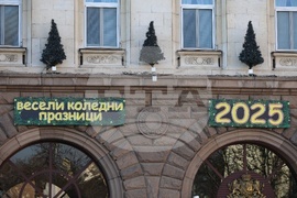 Коледна украса - ежедневие