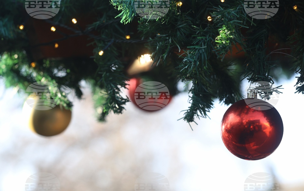 Коледна украса - ежедневие