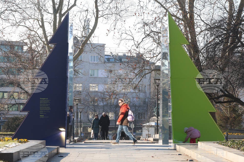 Коледна украса - ежедневие