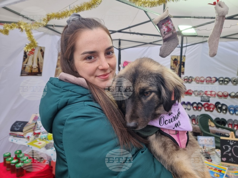Повече да се подкрепя осиновяването, вместо купуването на животни, предлага ветеринарният лекар Полина Чавдарова
