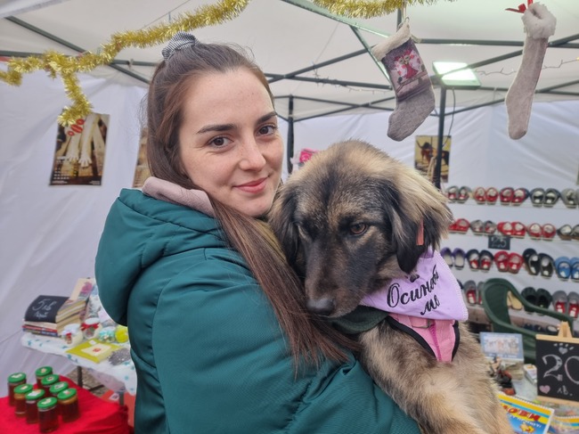 Повече да се подкрепя осиновяването, вместо купуването на животни, предлага ветеринарният лекар Полина Чавдарова