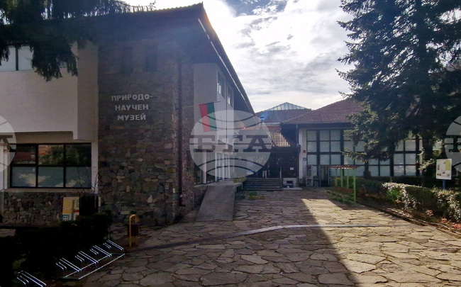 Природонаучният музей в Черни Осъм ще участва в архитектурното биенале във Венеция