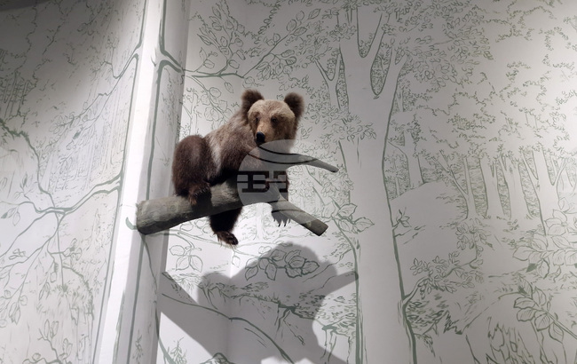 Село Черни Осъм - Природонаучен музей - експозиция