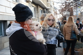 Столична община - доброволци - протест