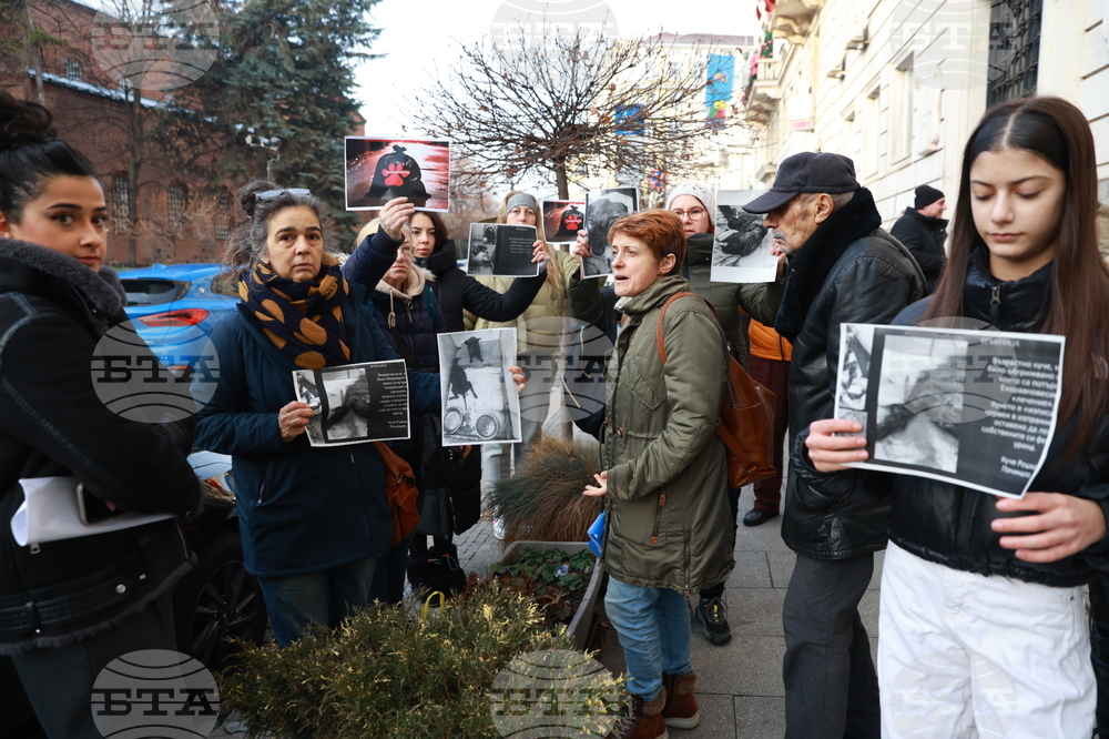 Доброволци настояват през предстоящите почивни дни да имат достъп до столичните общински приюти за бездомни кучета