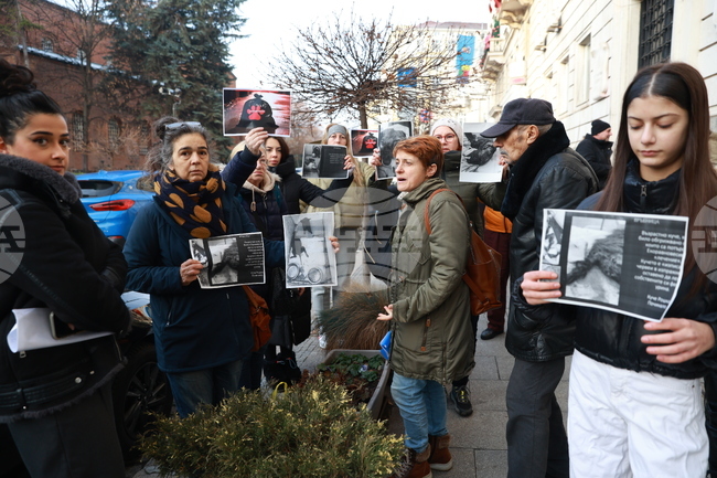 Доброволци настояват през предстоящите почивни дни да имат достъп до столичните общински приюти за бездомни кучета