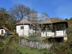 Сърбия - Село Бресница (Брестница)