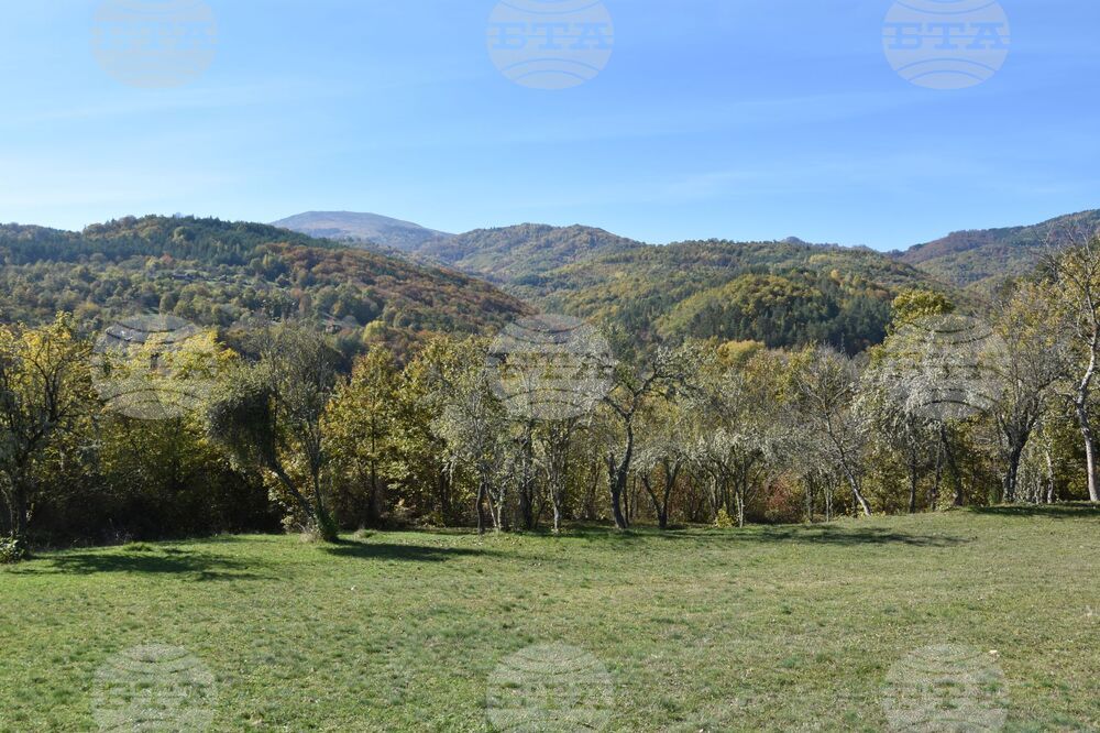 Сърбия - Село Бресница (Брестница)