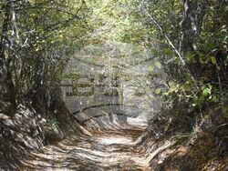 Сърбия - Село Бресница (Брестница)