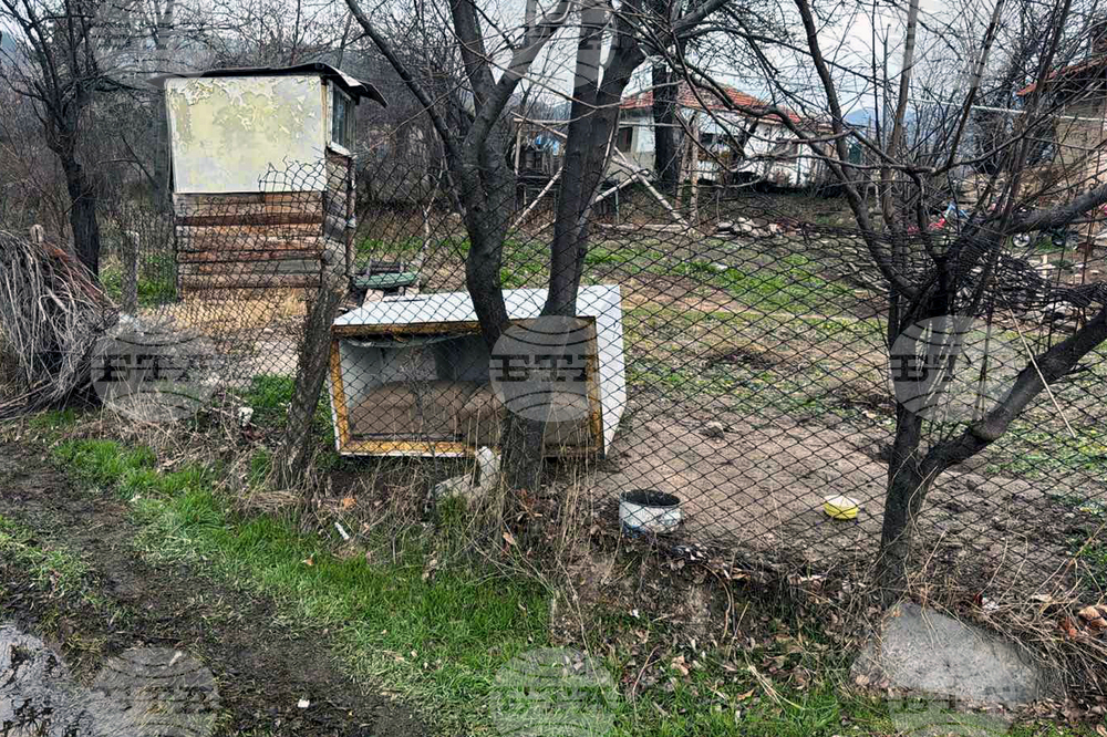 Конаре - издирване на 13-годишния Николай