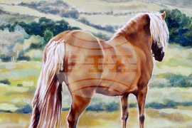 Благоевград - обща коледна изложба