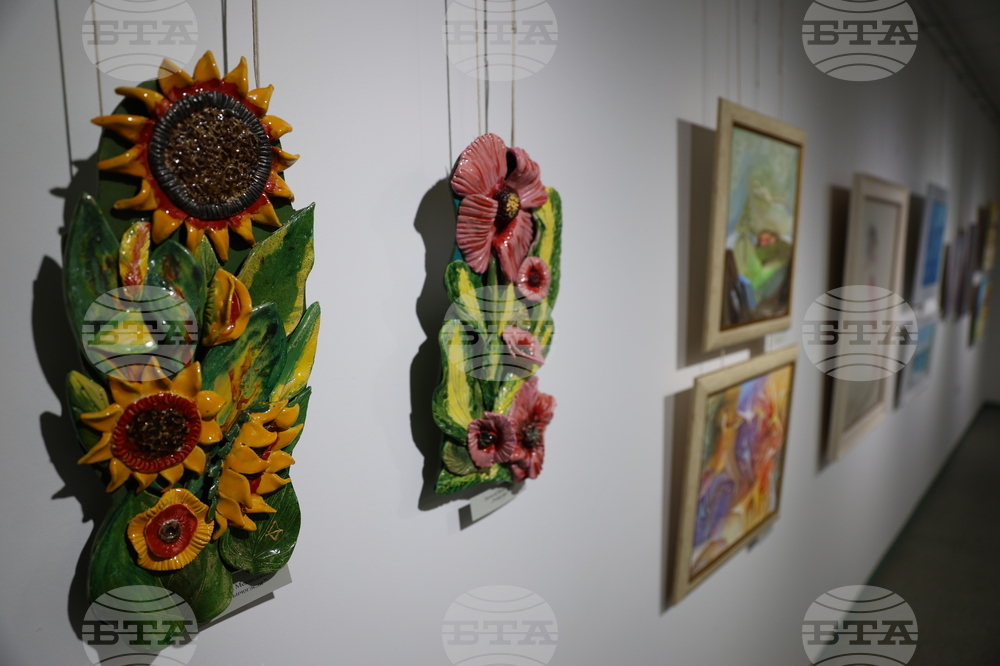 Благоевград - обща коледна изложба