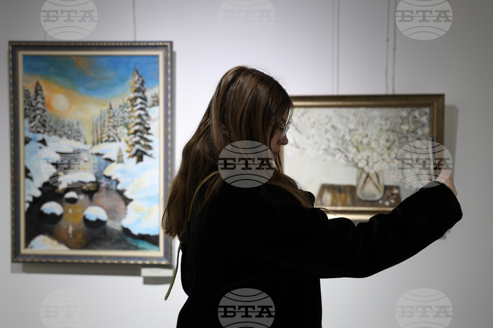 Благоевград - обща коледна изложба