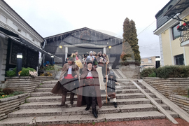 Ловеч - Коледари