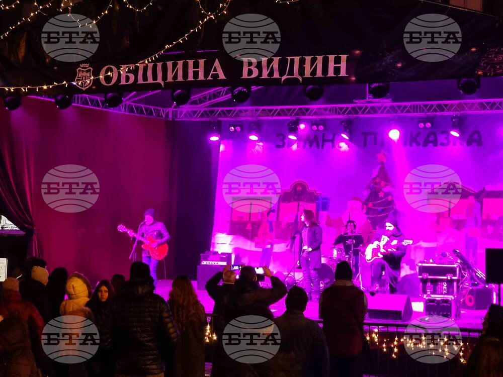 Видин - „Зимна приказка“ - D2 - концерт