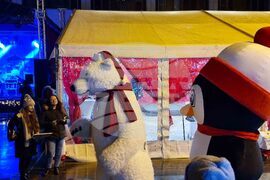 Видин - „Зимна приказка“ - D2 - концерт