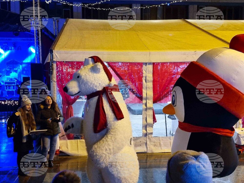 Видин - „Зимна приказка“ - D2 - концерт