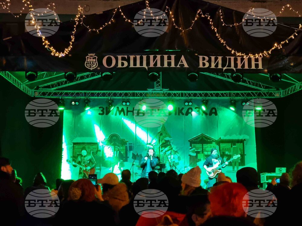Видин - „Зимна приказка“ - D2 - концерт