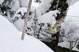 Троян - обилен снеговалеж