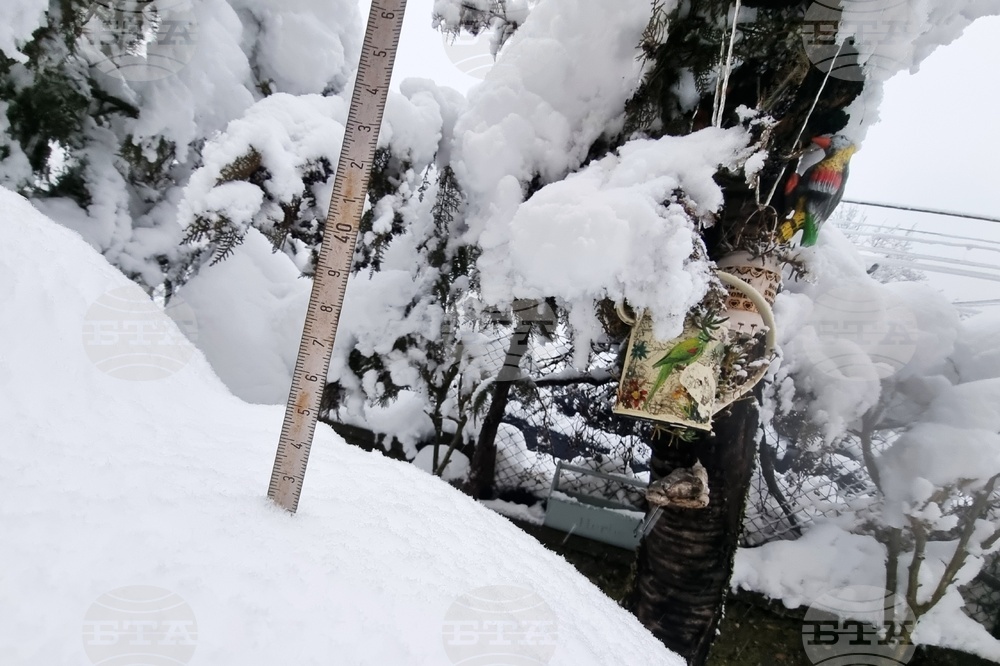 Троян - обилен снеговалеж