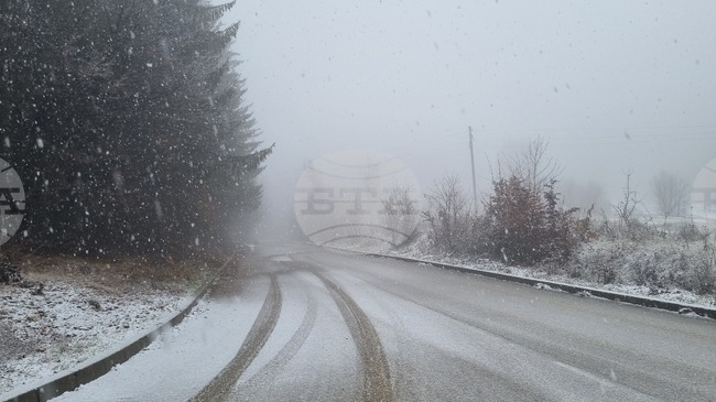 Общо 31 снегопочистващи машини са били на терен в област Търговище през нощта, обстановката вече е спокойна
