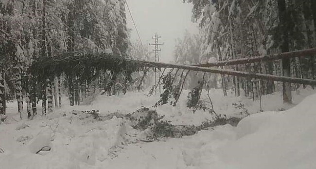 Над 150 екипа на "ЕРМ Запад" работят за отстраняването на авариите по електропреносната мрежа в Западна България, съобщиха от дружеството