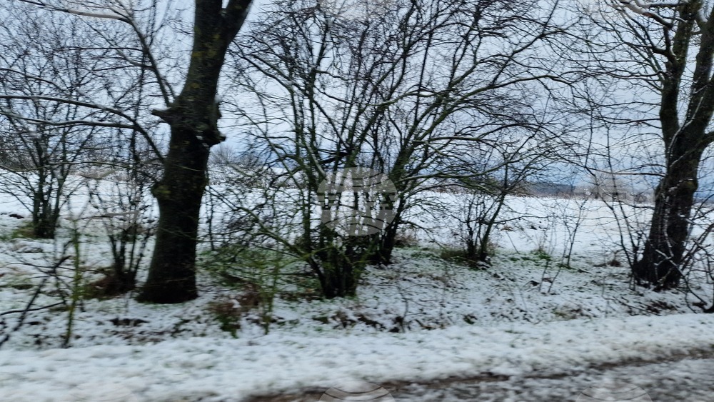 В област Разград вали мокър сняг, има сигнали за паднали дървета заради силния вятър през нощта