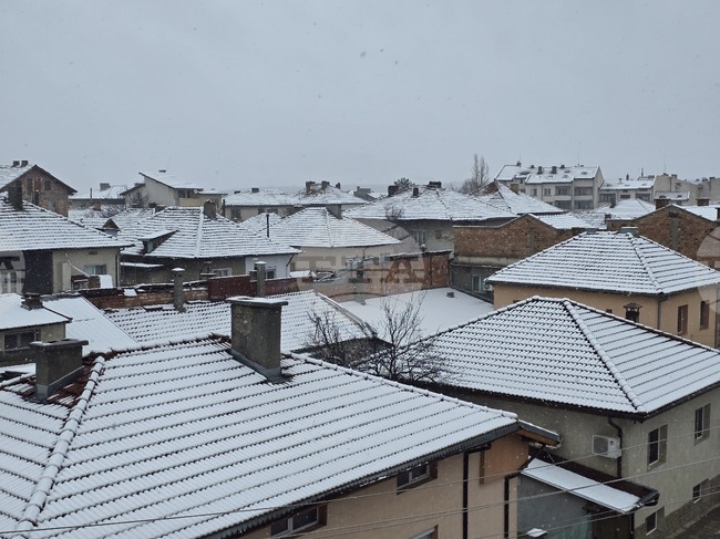 На места в Плевенско има аварии по електропреносната мрежа заради мокрия сняг
