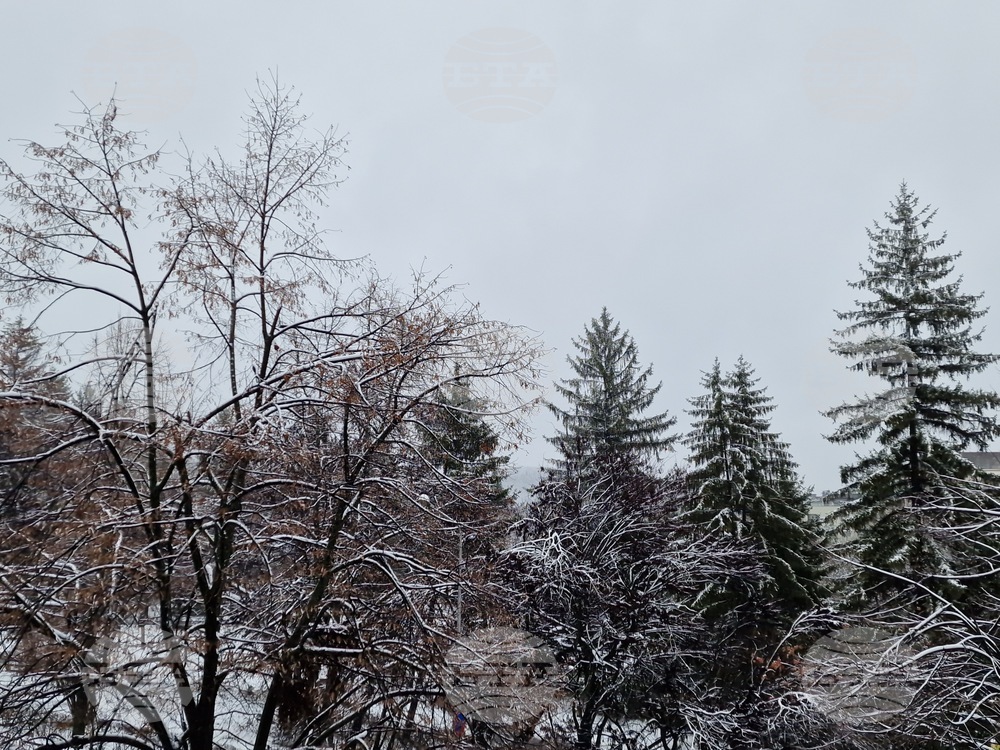 Около 20 села във Великотърновска област имат проблеми с електрозахранването заради усложнената зимна обстановка