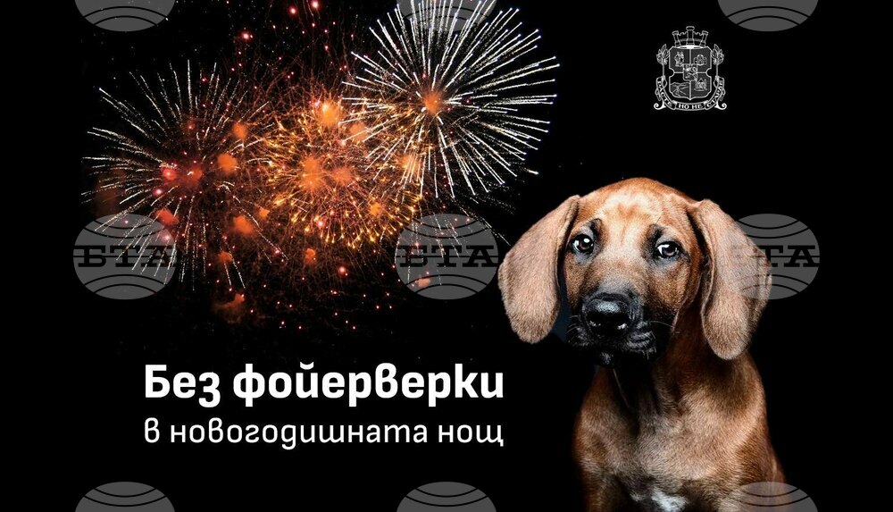 Столичната община ще замени със светлинно шоу фойерверките в новогодишната нощ