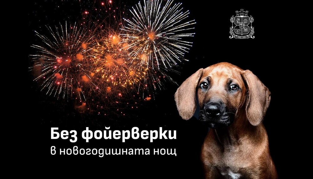 Столичната община ще замени със светлинно шоу фойерверките в новогодишната нощ