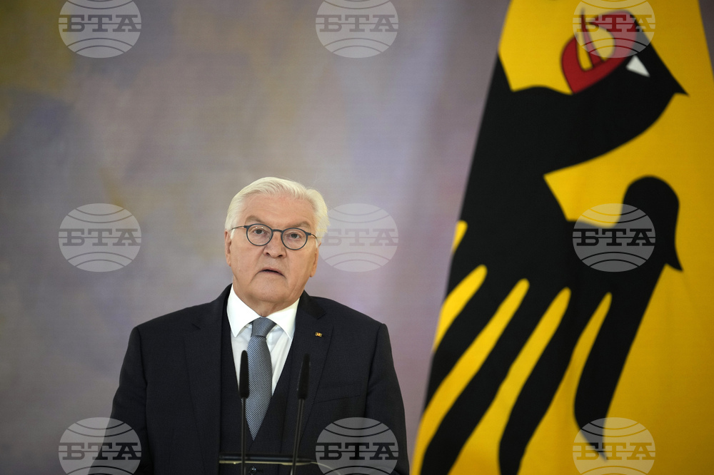 Германският президент се оплаква от "загубата на внимателно мислене" в социалните мрежи
