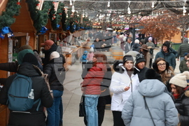 Столица - ежедневие