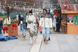 Столица - ежедневие