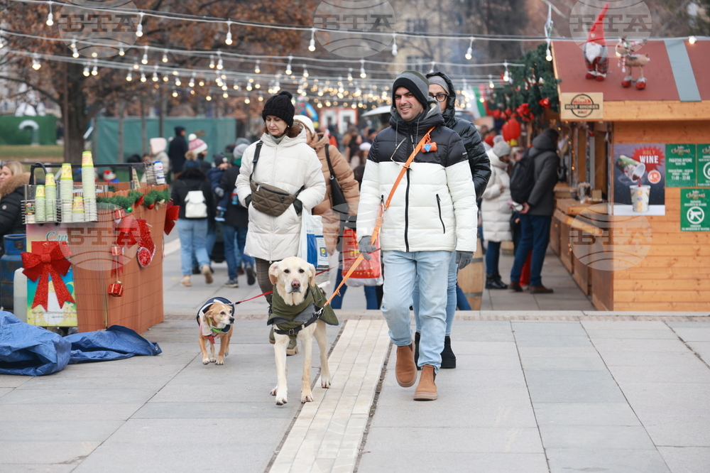 Столица - ежедневие