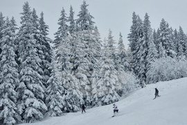 Витоша планина - зимни спортове