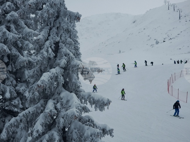 Витоша планина - зимни спортове
