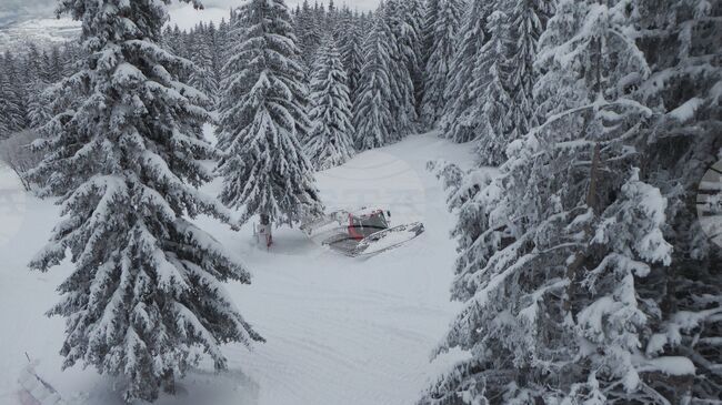 На Витоша временно са затворени пътищата от кв. "Драгалевци" до "Алеко" и от кв. "Бояна" до Златните мостове