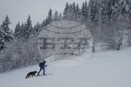 Витоша планина - зимни спортове