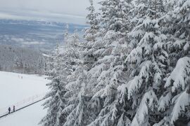 Витоша планина - зимни спортове