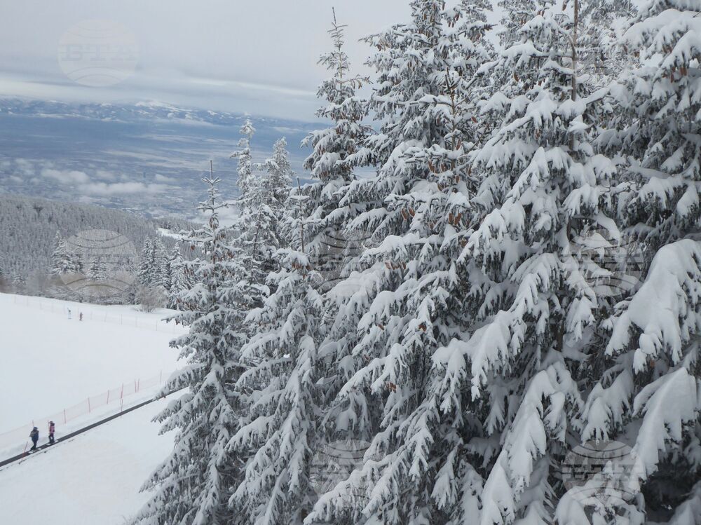 Витоша планина - зимни спортове