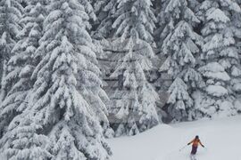 Витоша планина - зимни спортове