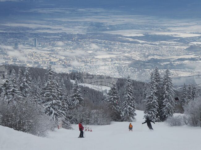Сметната палата констатира, че се бави приемането на актуални планове за управление на природни паркове у нас