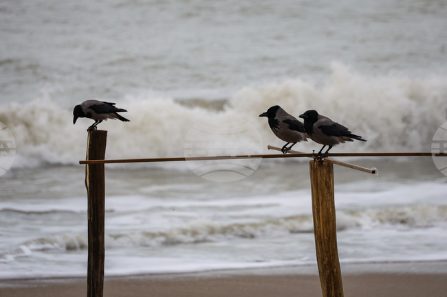 The Weather on February 7