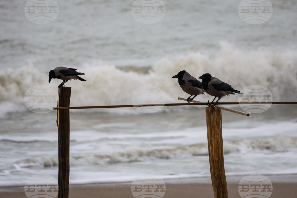 Бургас - зима - море