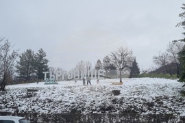 Търговище - украса - Източен парк