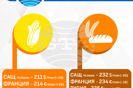 Инфографика - цени на основните зърнени стоки - 20-27 декември