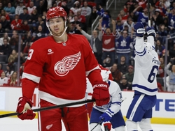 Maple Leafs Red Wings Hockey
